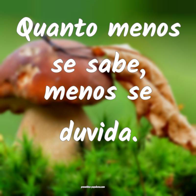 Quanto menos se sabe, menos se duvida.
...