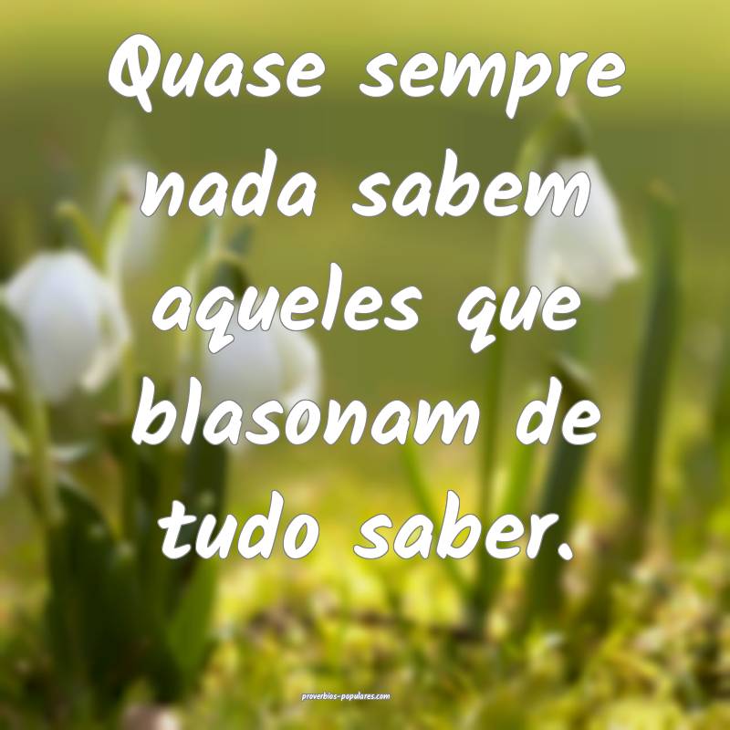 Quase sempre nada sabem aqueles que blasonam de tudo saber.
...