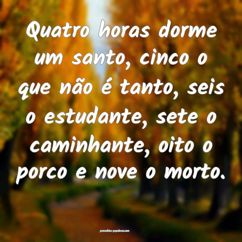 Quatro horas dorme um santo, cinco o que não é tanto, seis o estudan...