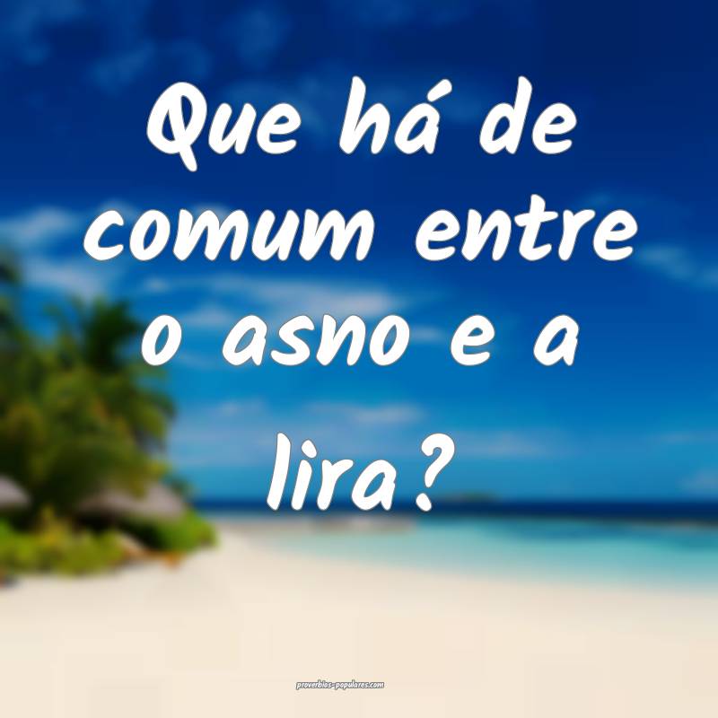 Que há de comum entre o asno e a lira?
 ...