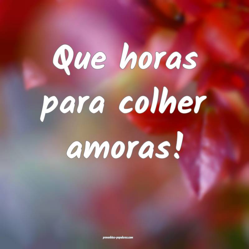 Que horas para colher amoras!
...