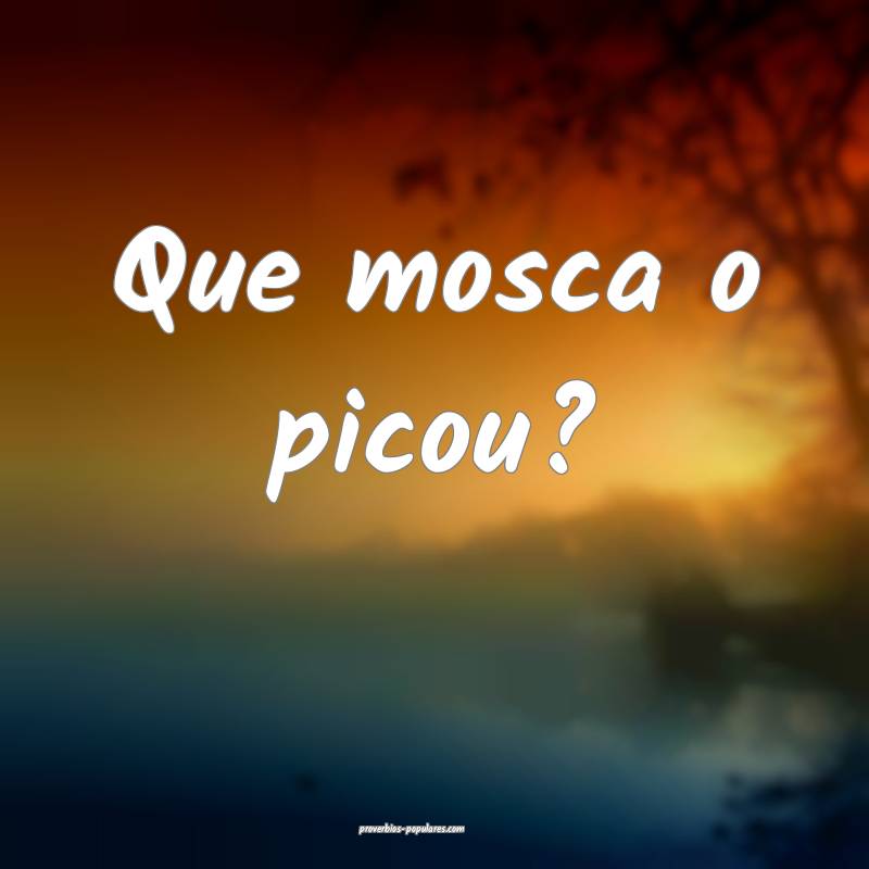 Que mosca o picou?
...