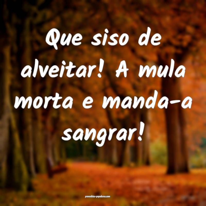 Que siso de alveitar! A mula morta e manda-a sangr ...