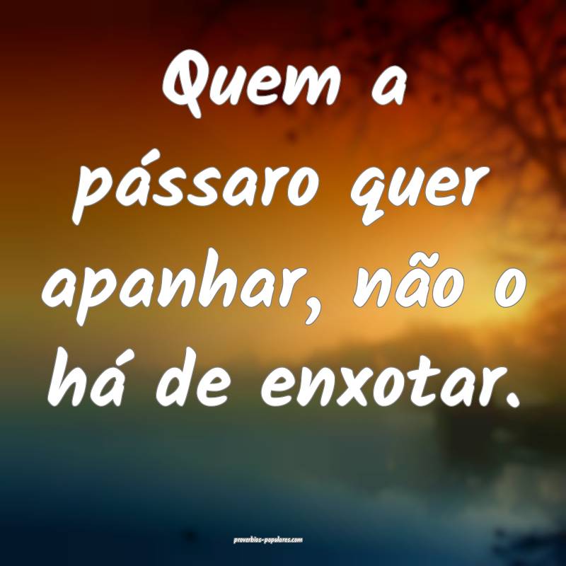 Quem a pássaro quer apanhar, não o há de enxota ...