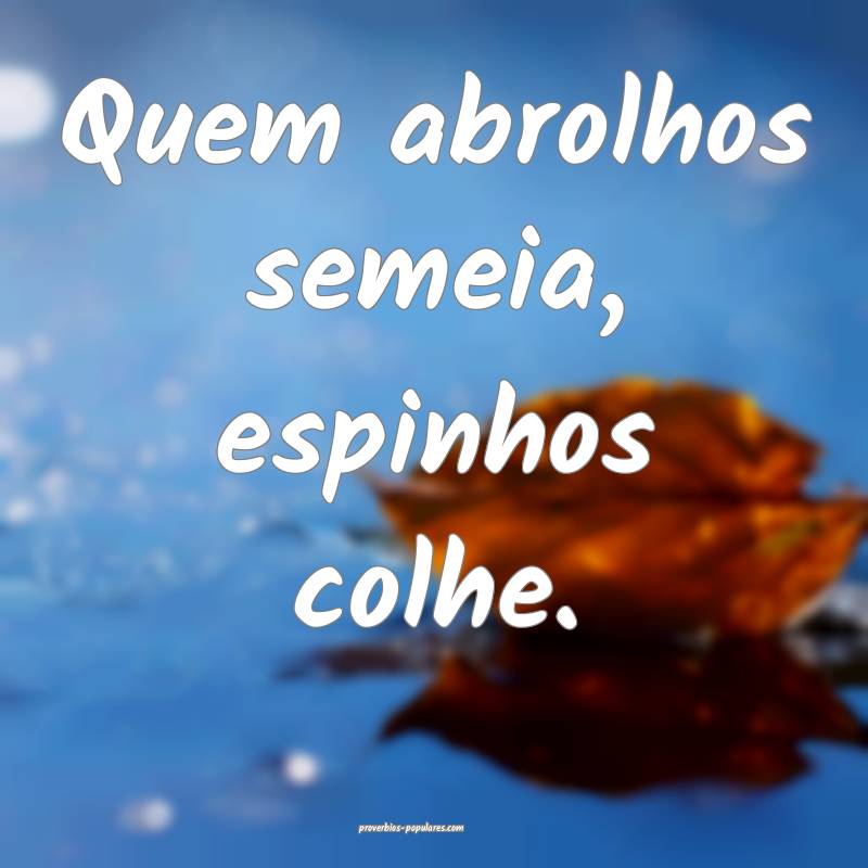 Quem abrolhos semeia, espinhos colhe.
...