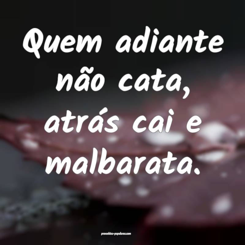 Quem adiante não cata, atrás cai e malbarata.
...
