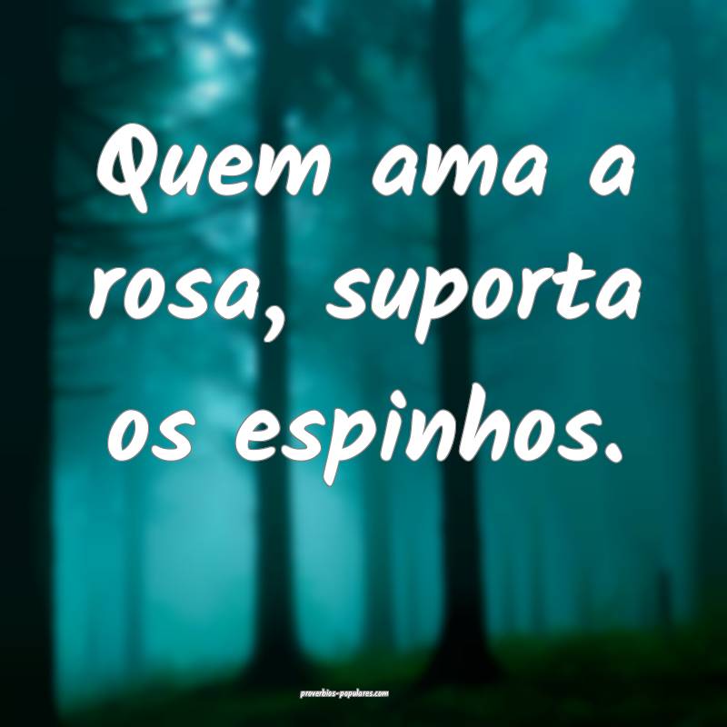 Quem ama a rosa, suporta os espinhos.
...