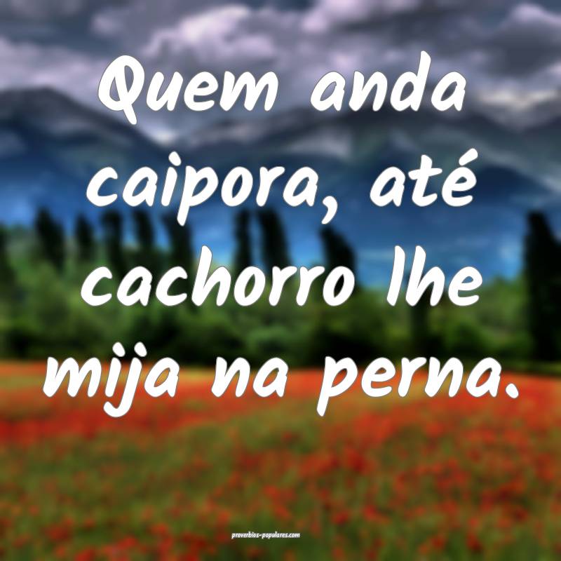 Quem anda caipora, até cachorro lhe mija na perna ...