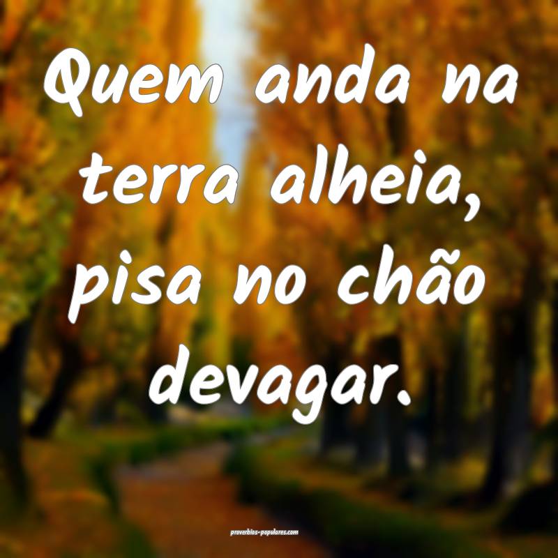 Quem anda na terra alheia, pisa no chão devagar.
 ...