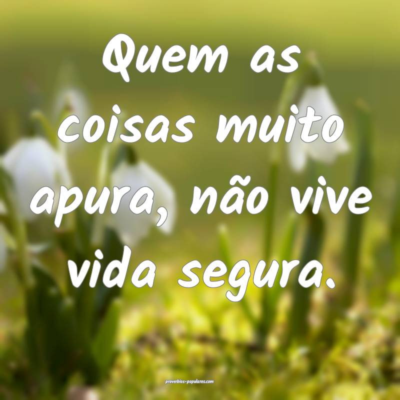 Quem as coisas muito apura, não vive vida segura.
...