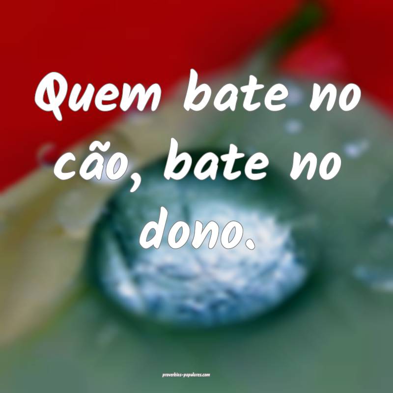 Quem bate no cão, bate no dono.
 ...