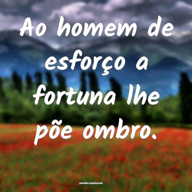 Ao homem de esforço a fortuna lhe põe ombro.
...