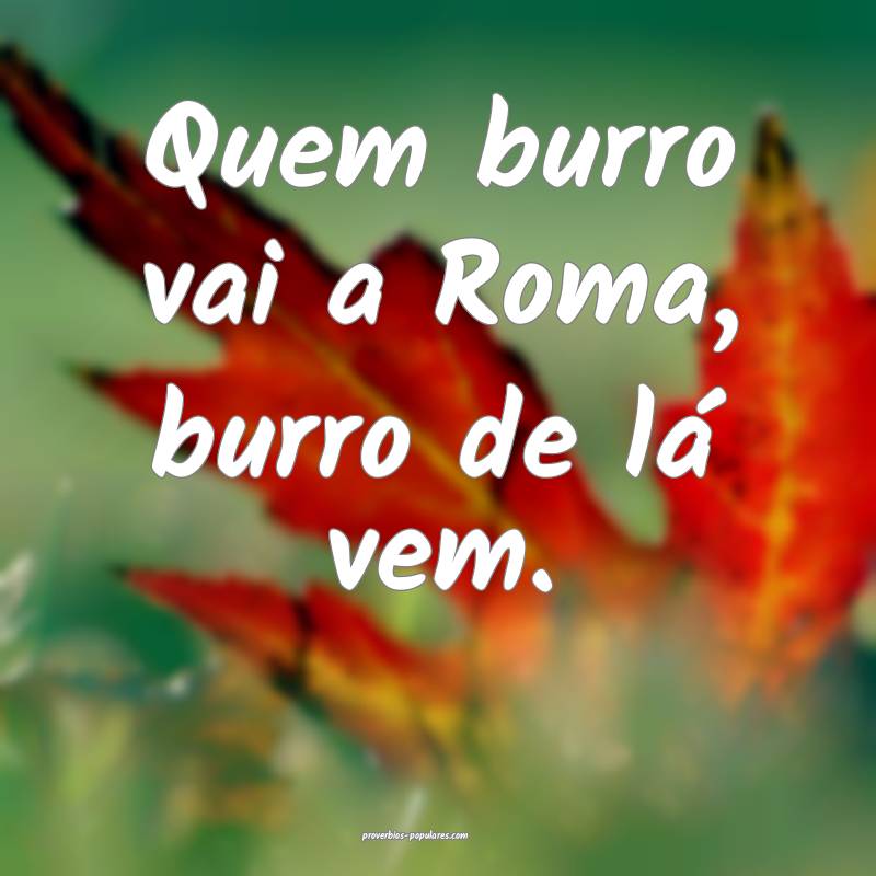 Quem burro vai a Roma, burro de lá vem.
...