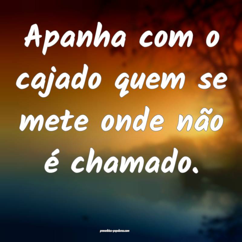 Apanha com o cajado quem se mete onde não é chamado.
...