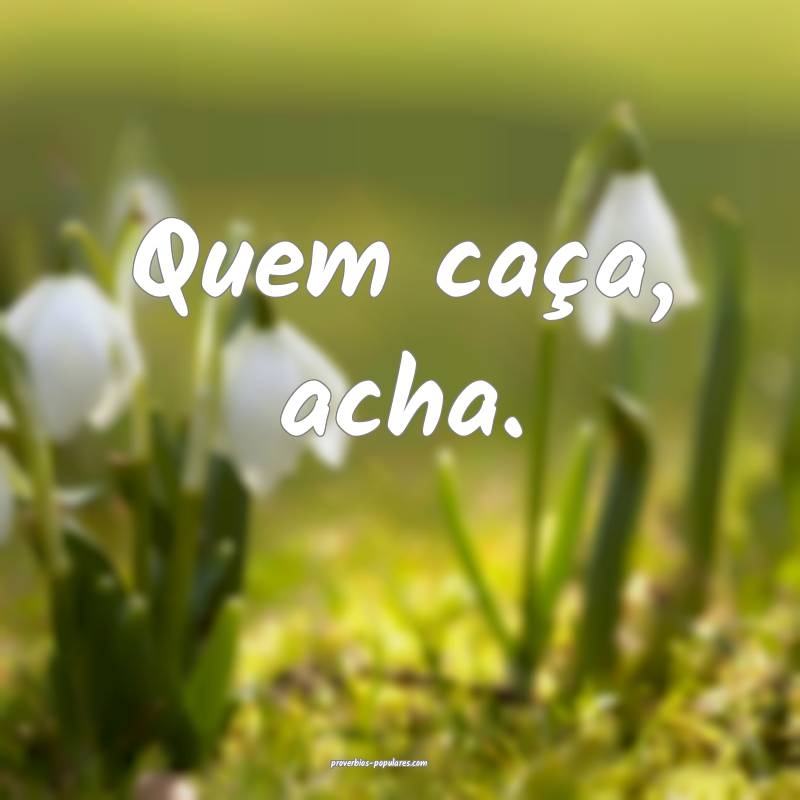 Quem caça, acha.
...