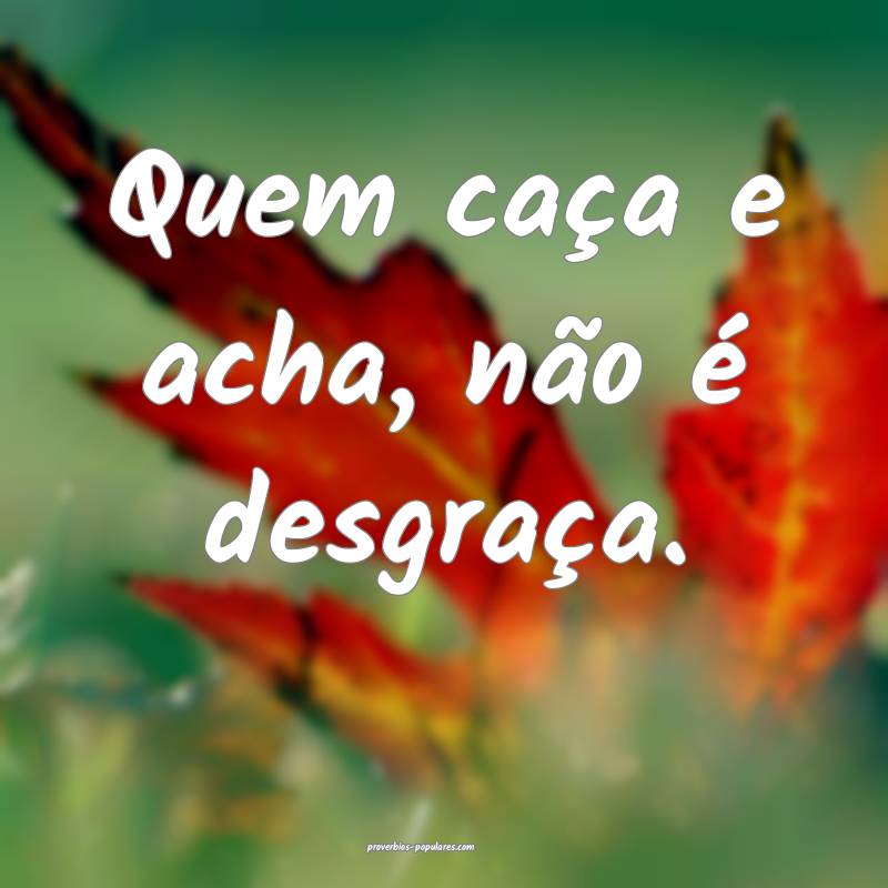 Quem caça e acha, não é desgraça.
...