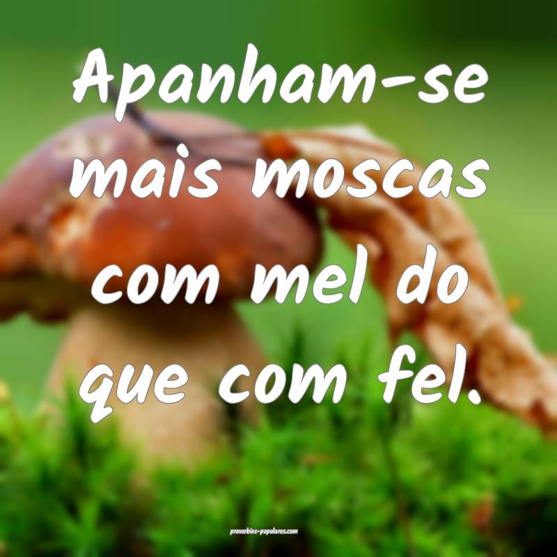 Apanham-se mais moscas com mel do que com fel.
...