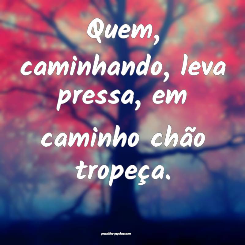 Quem, caminhando, leva pressa, em caminho chão tropeça.
...