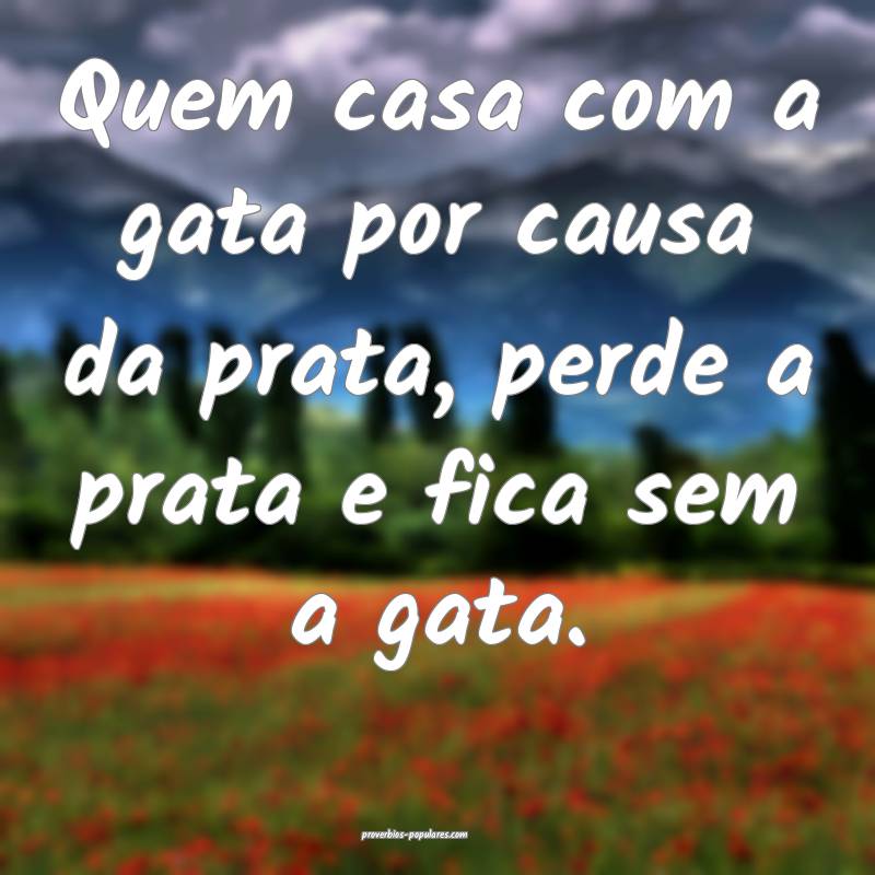Quem casa com a gata por causa da prata, perde a prata e fica sem a ga...