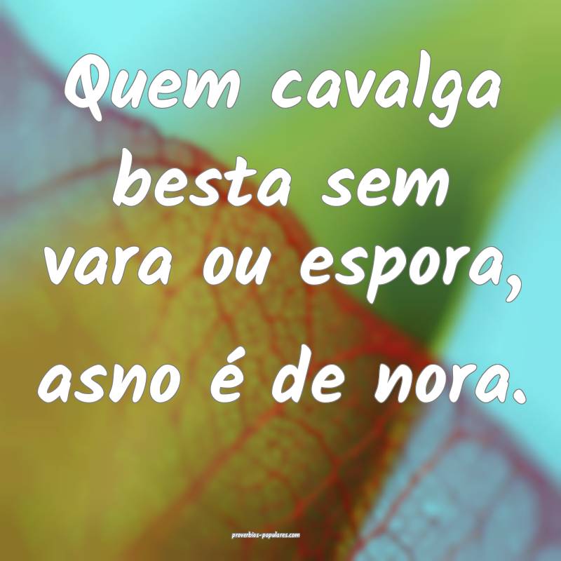 Quem cavalga besta sem vara ou espora, asno é de nora.
...