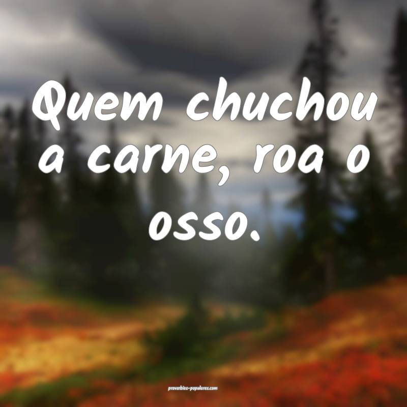 Quem chuchou a carne, roa o osso.
...