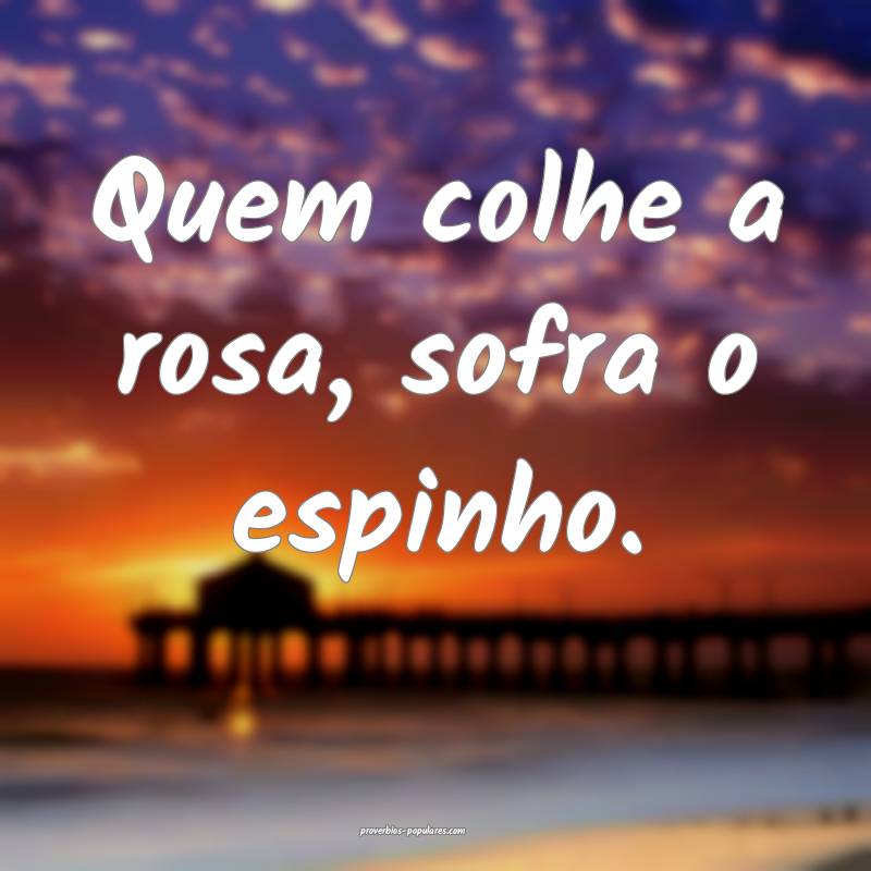 Quem colhe a rosa, sofra o espinho.
...