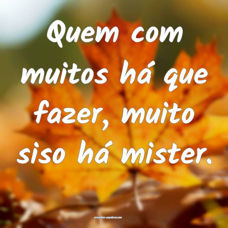 Quem com muitos há que fazer, muito siso há mister.
...