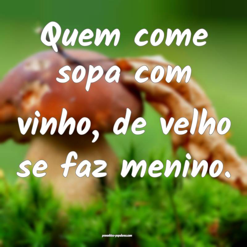 Quem come sopa com vinho, de velho se faz menino.
...