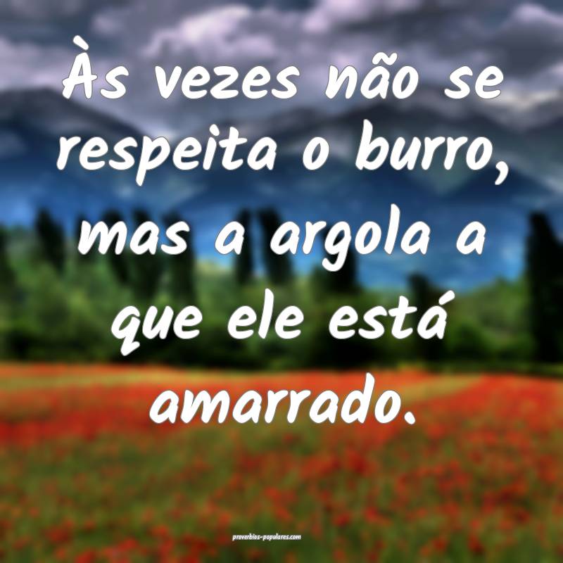 Às vezes não se respeita o burro, mas a argola a que ele está amarr...