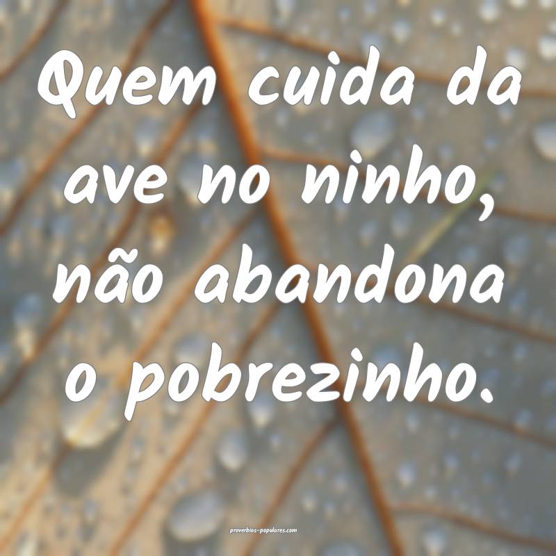 Quem cuida da ave no ninho, não abandona o pobrezinho.
...