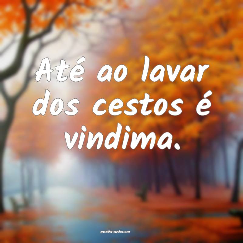 Até ao lavar dos cestos é vindima.
 ...