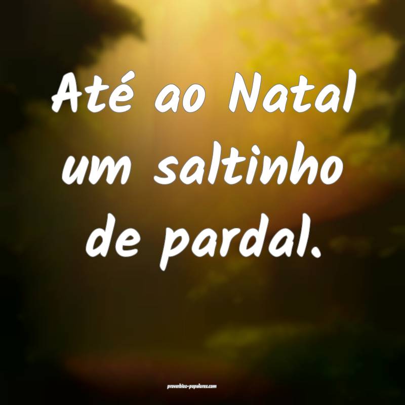 Até ao Natal um saltinho de pardal.
...