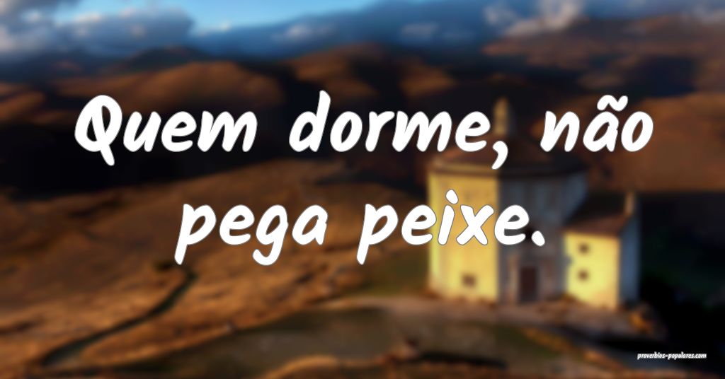 Quem dorme, não pega peixe.
 ...