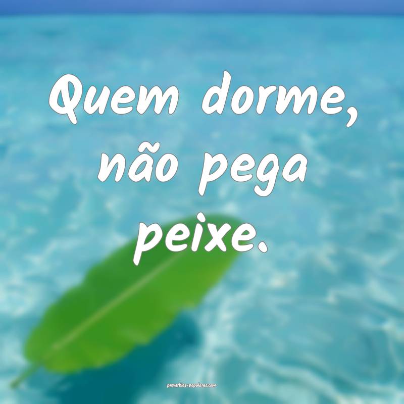 Quem dorme, não pega peixe.
 ...