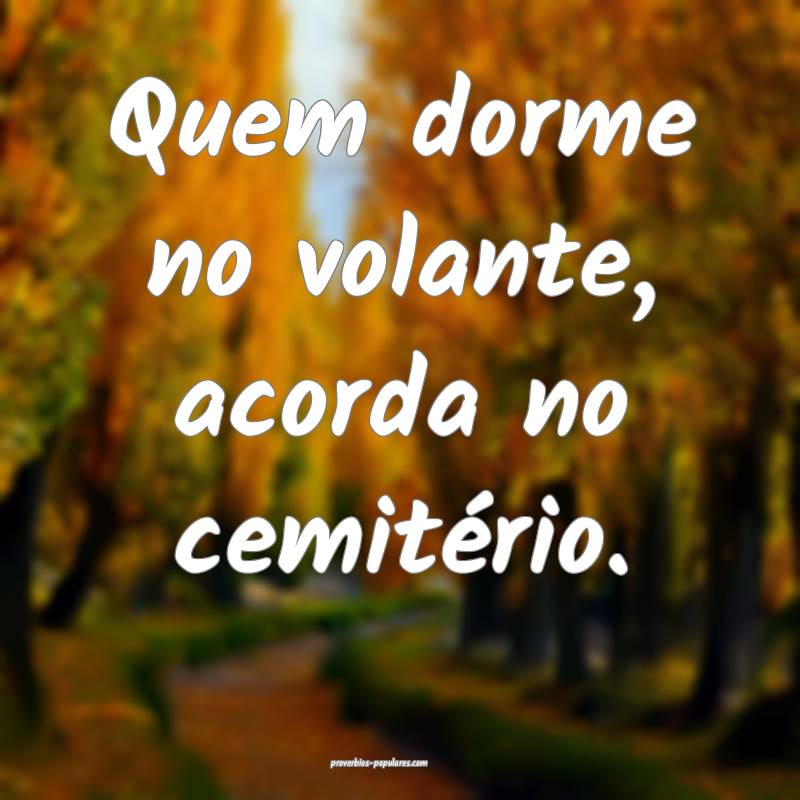 Quem dorme no volante, acorda no cemitério.
 ...