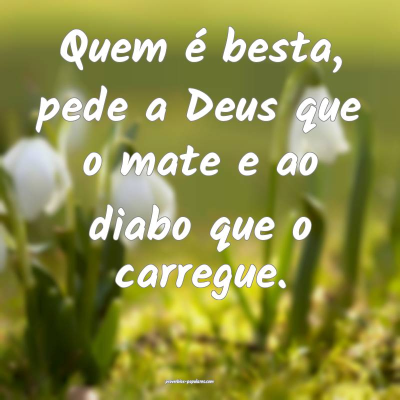 Quem é besta, pede a Deus que o mate e ao diabo que o carregue.
...