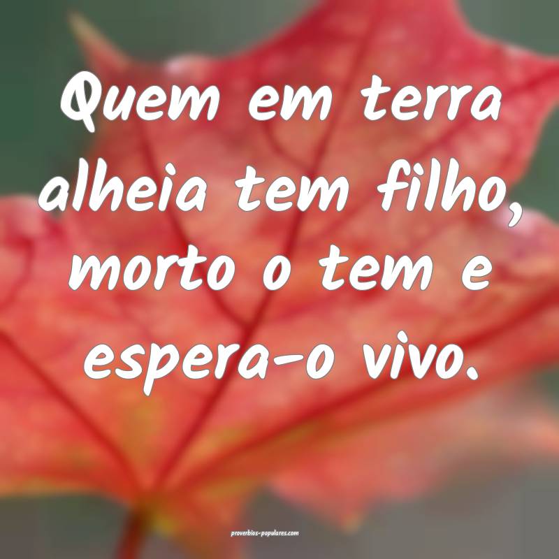 Quem em terra alheia tem filho, morto o tem e espera-o vivo.
...