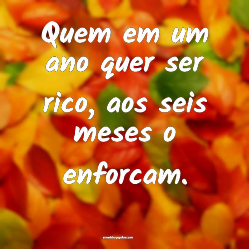 Quem em um ano quer ser rico, aos seis meses o enforcam.
...