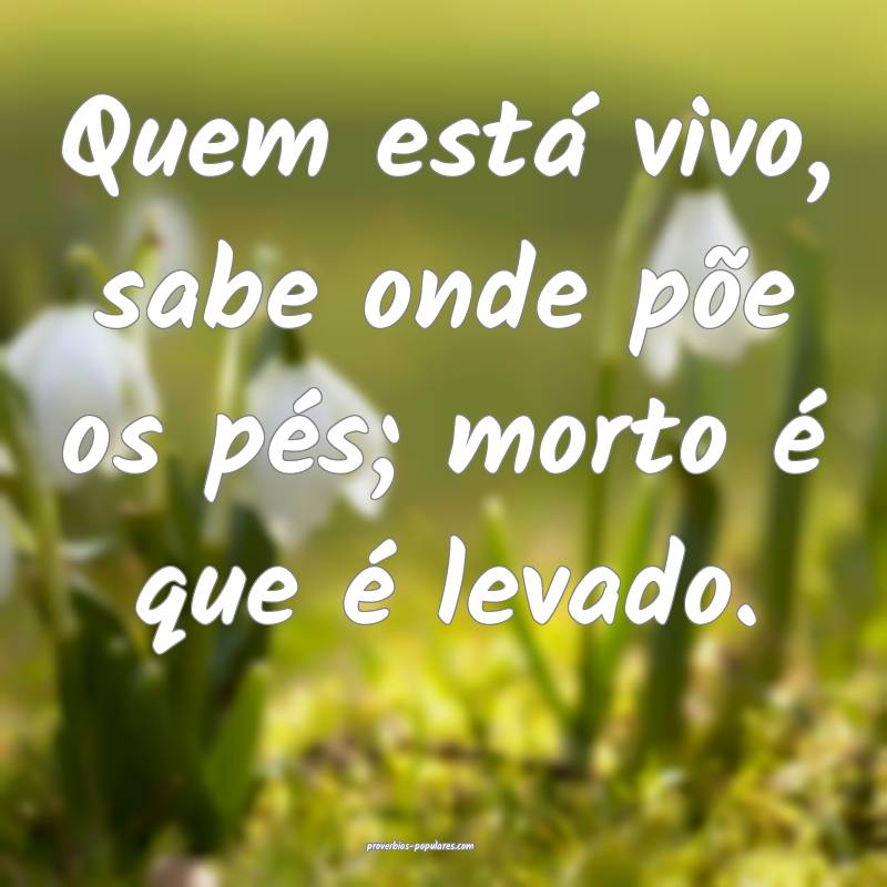 Quem está vivo, sabe onde põe os pés; morto é que é levado.
...