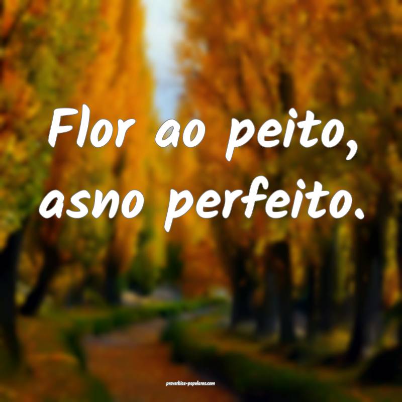 Flor ao peito, asno perfeito.
...