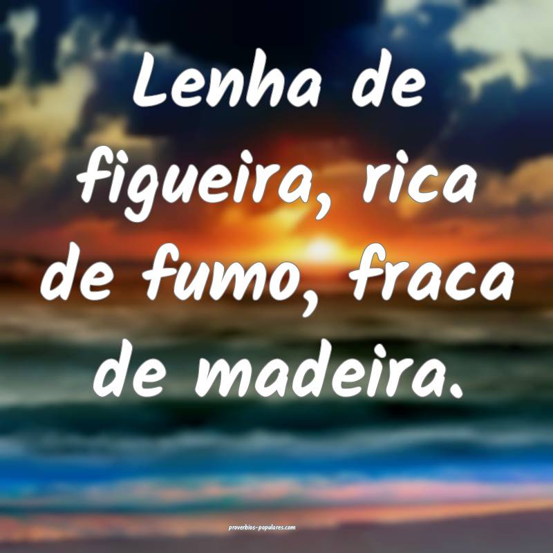 Lenha de figueira, rica de fumo, fraca de madeira. ...
