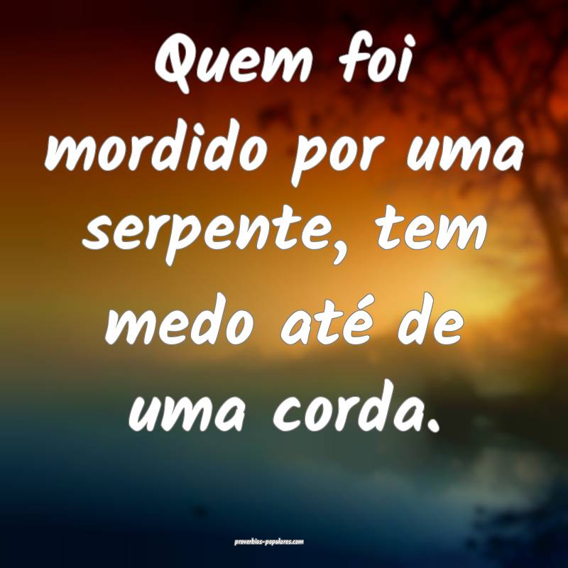 Quem foi mordido por uma serpente, tem medo até de uma corda.
...