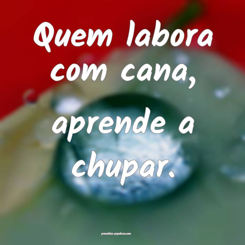 Quem labora com cana, aprende a chupar.
...