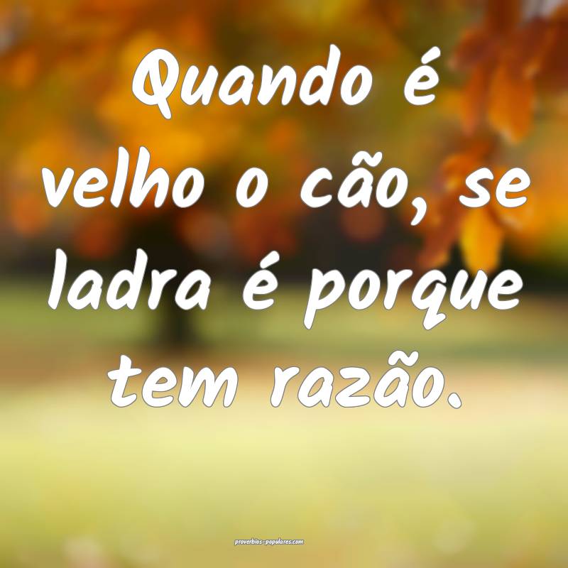 Quando é velho o cão, se ladra é porque tem razão.
...