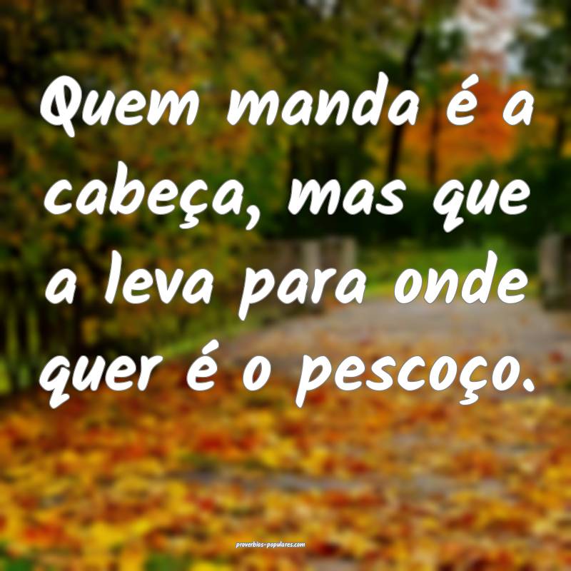 Quem manda é a cabeça, mas que a leva para onde quer é o pescoço.
...