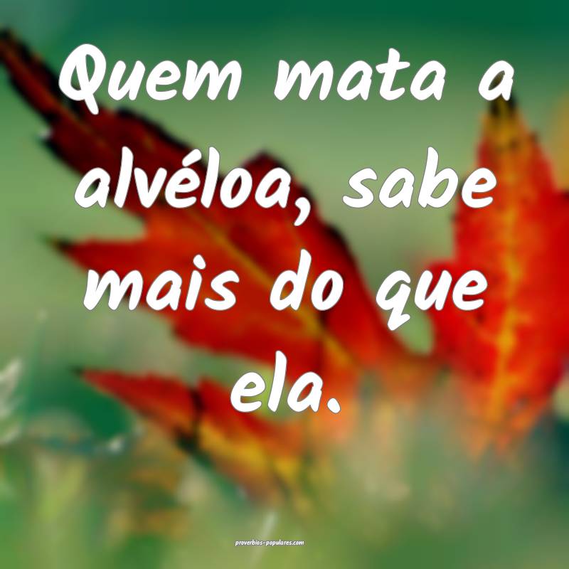 Quem mata a alvéloa, sabe mais do que ela.
 ...