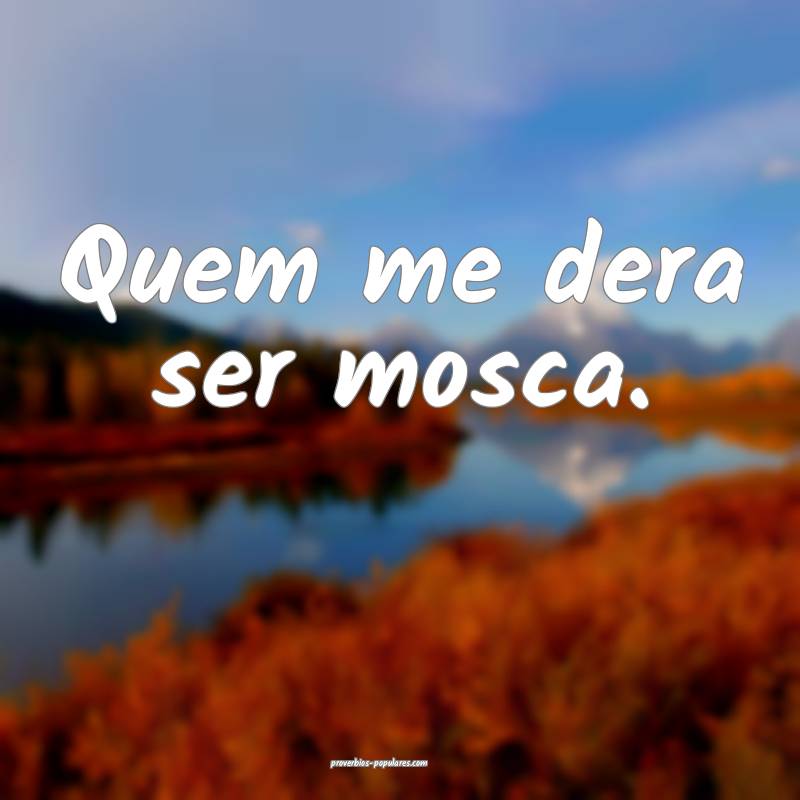 Quem me dera ser mosca.
...