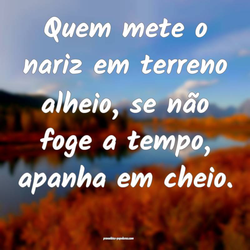 Quem mete o nariz em terreno alheio, se não foge a tempo, apanha em c...