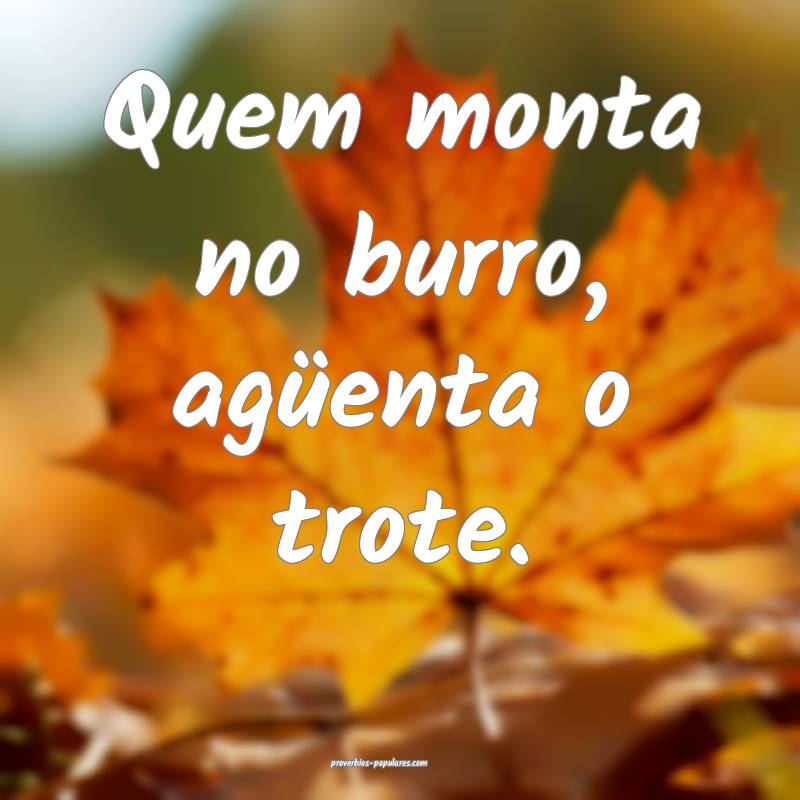 Quem monta no burro, agüenta o trote.
...