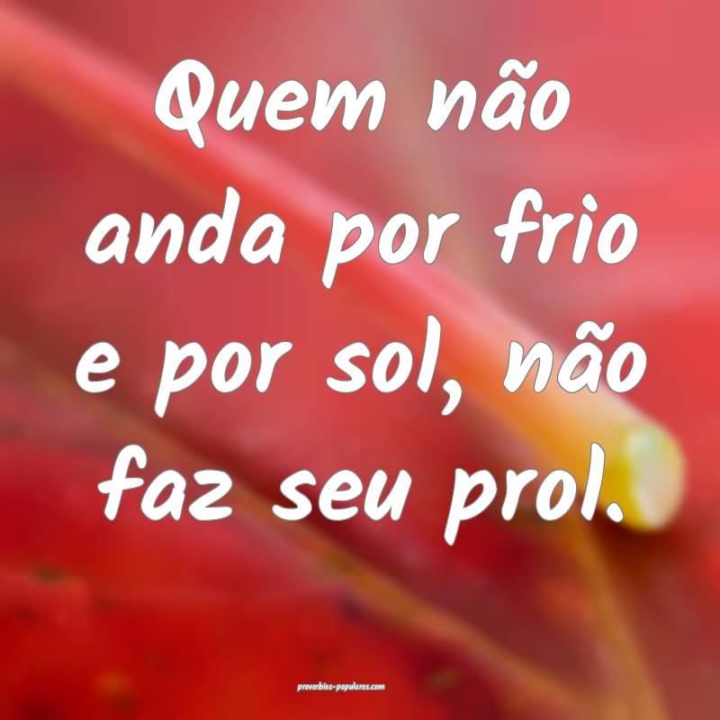 Quem não anda por frio e por sol, não faz seu prol.
...